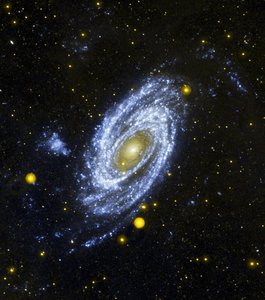 Spiralgalaxie M81 vom Hubble-Weltraumteleskop gesehen. NASA. Wissenschaft Astronomie Stellar